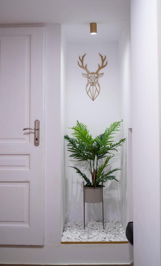 Coban Residence - A3 - Scandinavian Apartment Μπρασόβ Εξωτερικό φωτογραφία